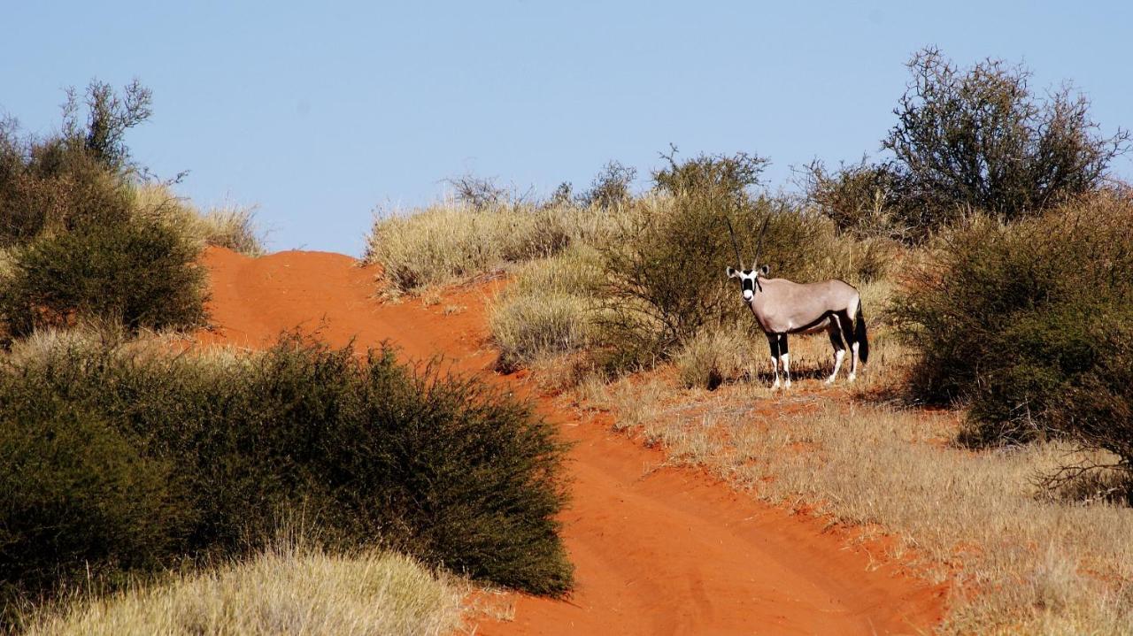 Kalahari Game Lodge Koës Kültér fotó